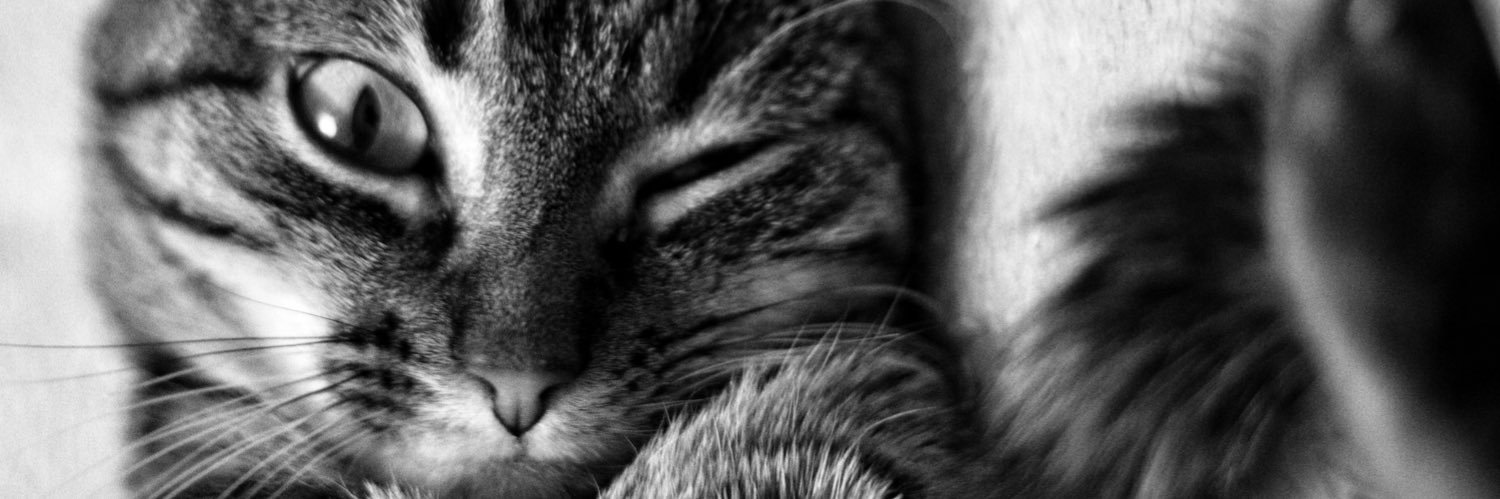 Colinelxprt's profile banner image