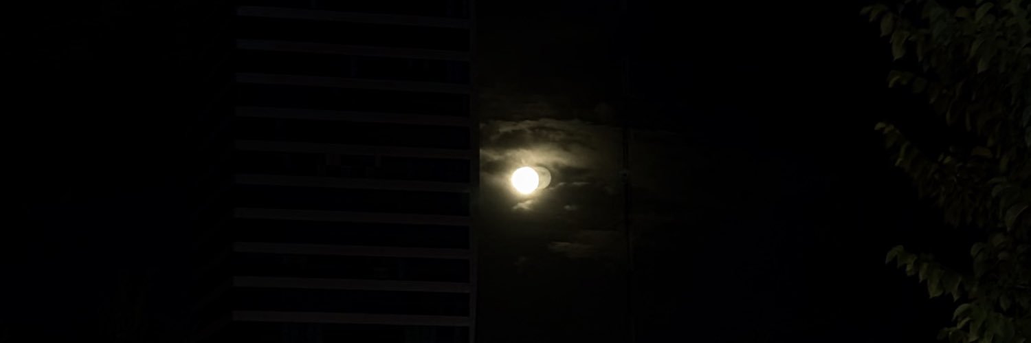 farnoodkh's profile banner image