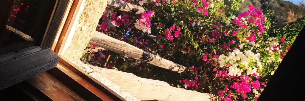 ssatsuma's profile banner image
