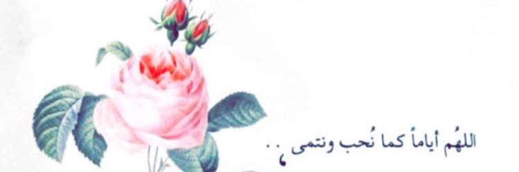 miis_ana's profile banner image