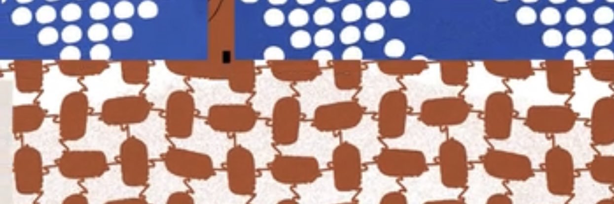 🇸🇦Fahad Saeid banner