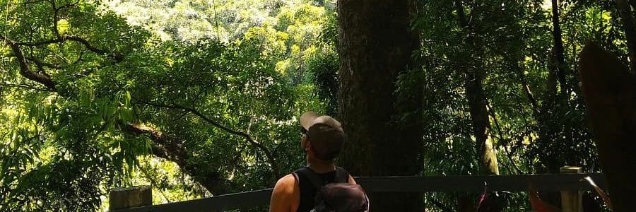 Gabriel_sDuarte's profile banner image