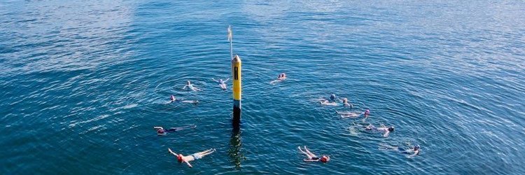 Subhadra Evans PhD banner