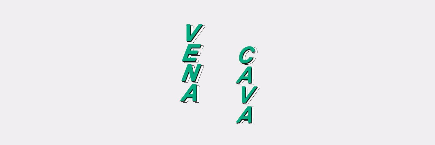VENABASE's profile banner image