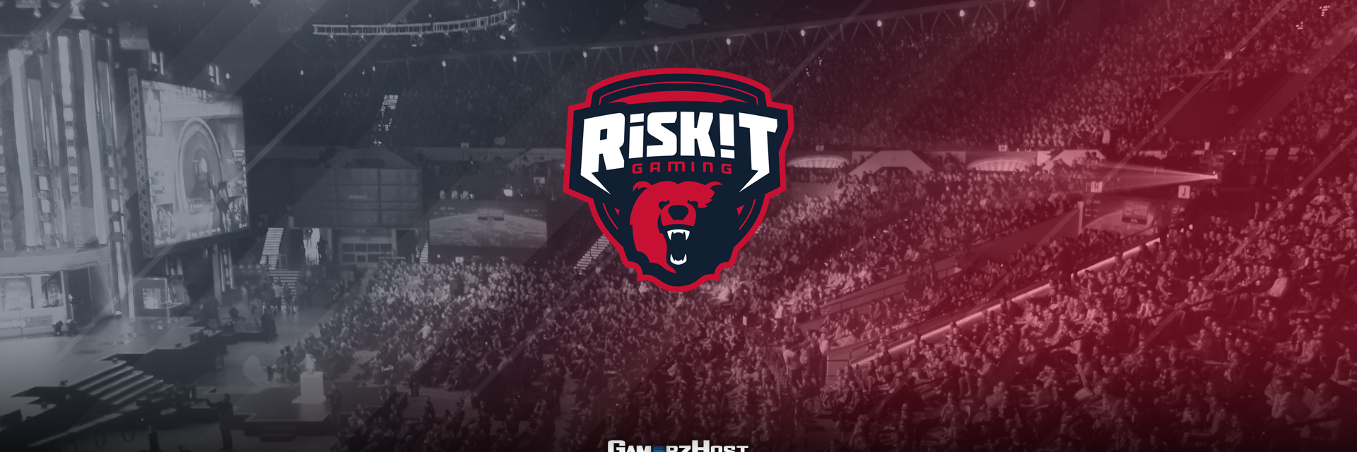 riskit_gaming's profile banner image