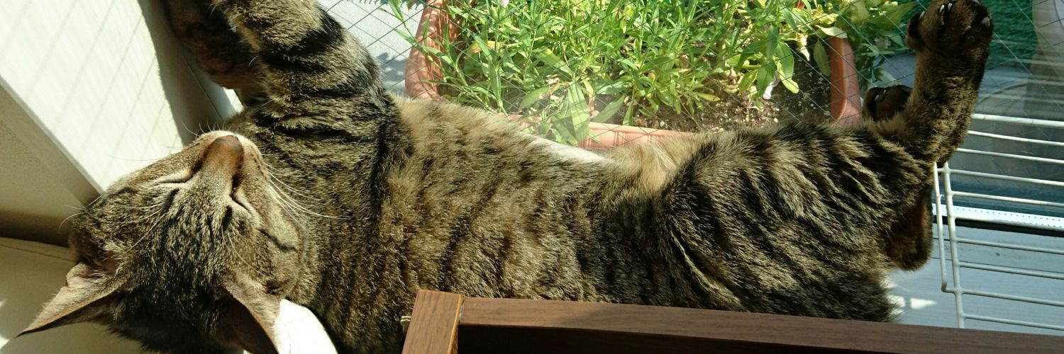 RollingCat5628's profile banner image