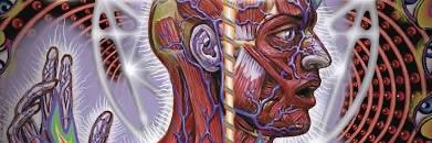 Lateralus_37's profile banner image