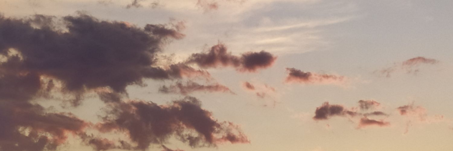conacritud's profile banner image