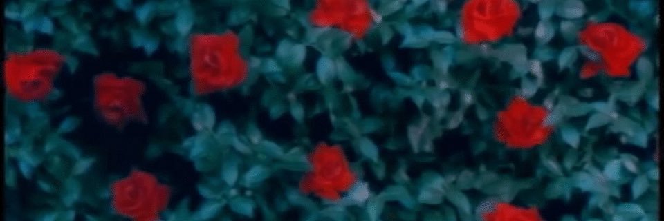 Jr_sbr's profile banner image