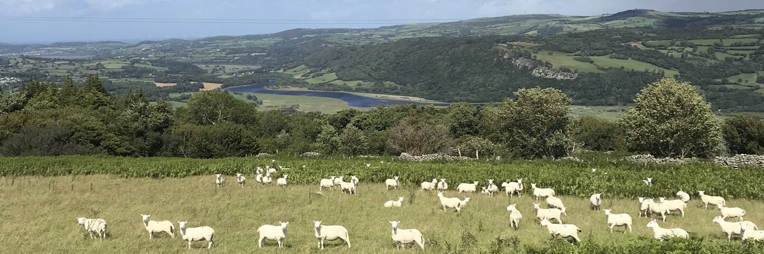 Dafydd Elfyn Owen banner
