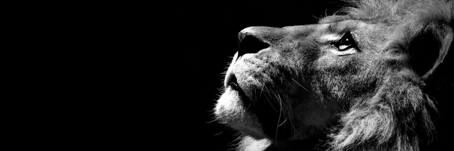 iiNeffable__'s profile banner image