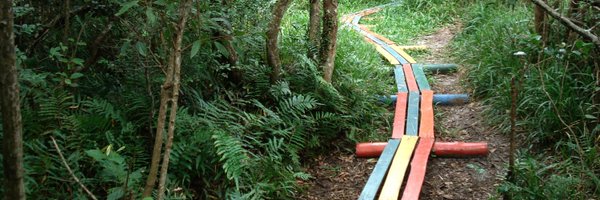 MAGIC_NEXUS Profile Banner