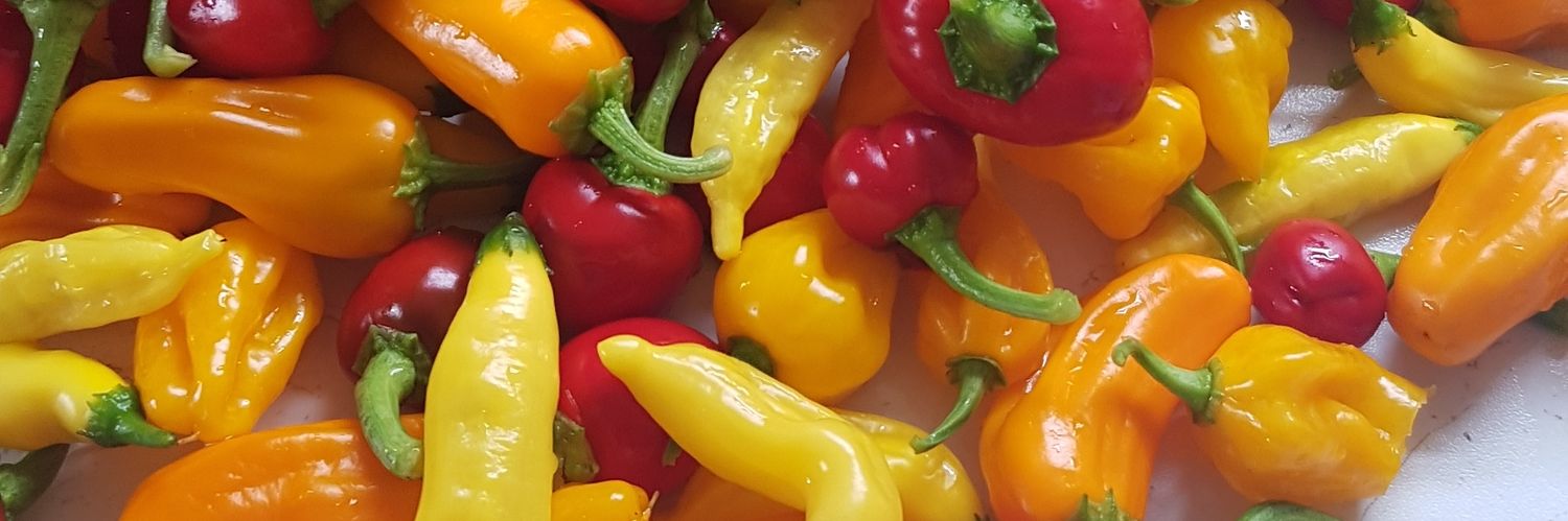 chefinyork's profile banner image