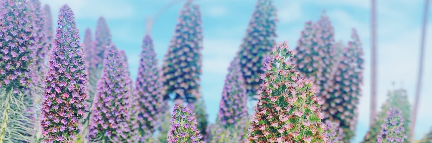 caitlynmn's profile banner image