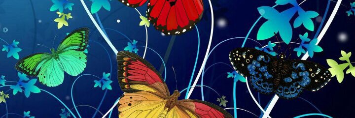 MirandaMarlene's profile banner image