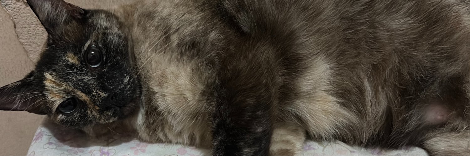 frangulha's profile banner image