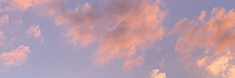 vickyyetchepare's profile banner image