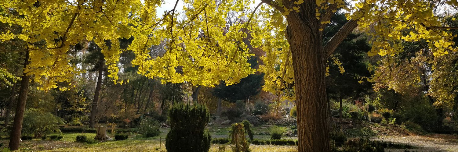 🪬برنــــدون banner