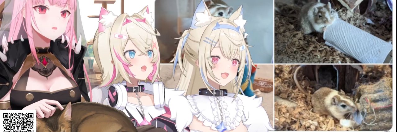 Splagoon 🎀✨ banner