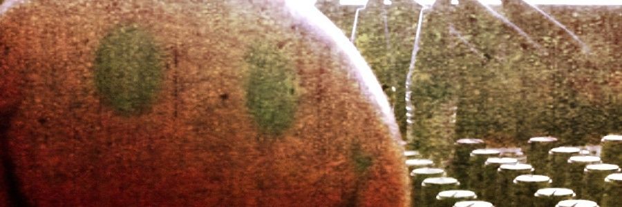 FranciskoFM's profile banner image