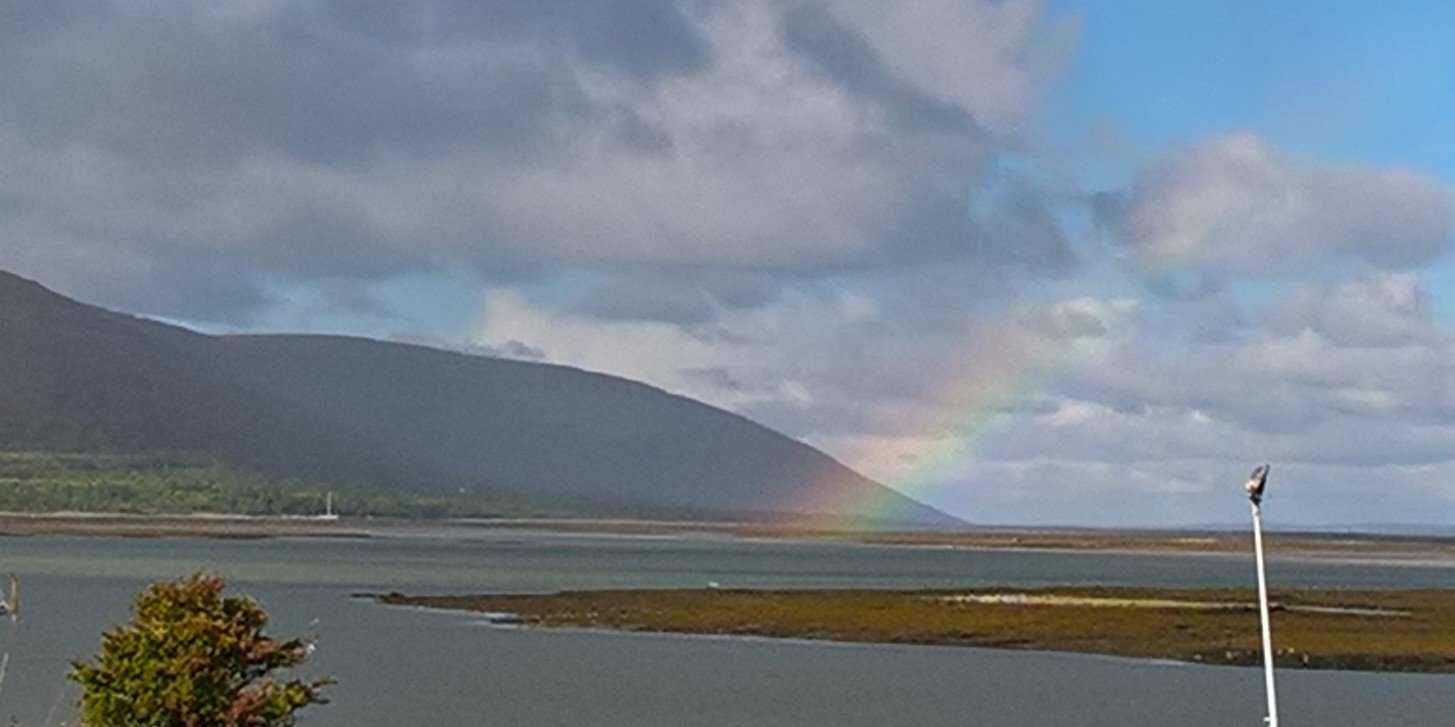 Gavin O'Connor banner