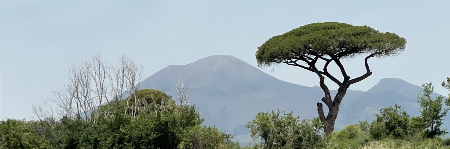 Leonardo Schettini banner