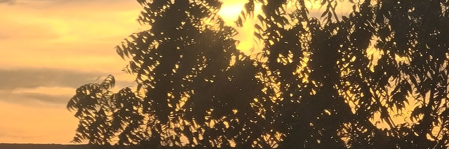 keeekvip's profile banner image