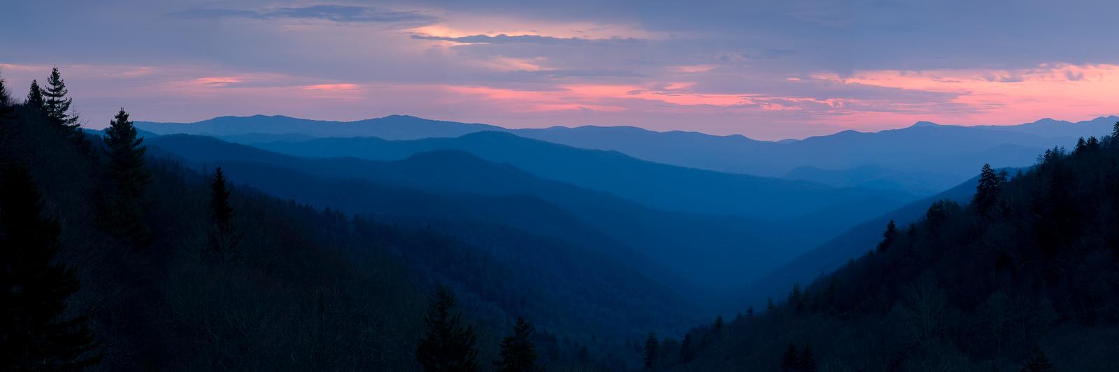 ☕ 📚 🐈 banner