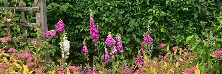 Jonathan Slater banner