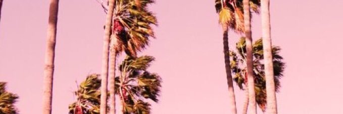 paytonpickard's profile banner image