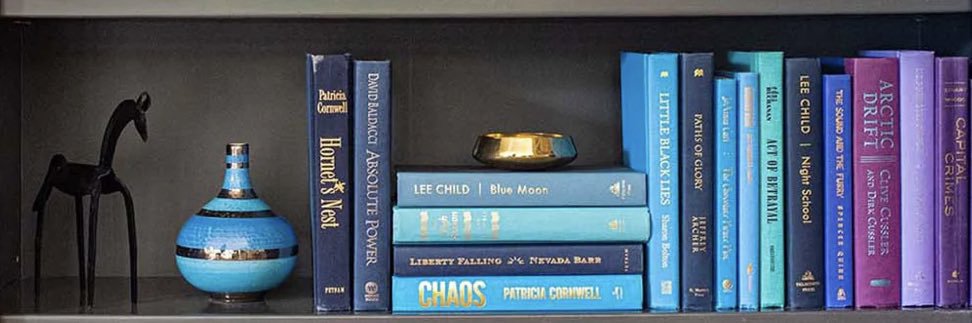 ThatsWhatSheRead banner