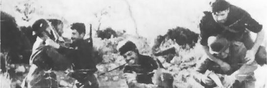 mcwaapp's profile banner image
