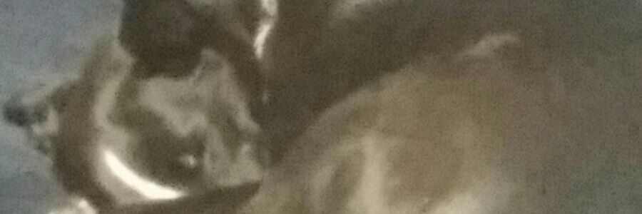 bendogyoung's profile banner image