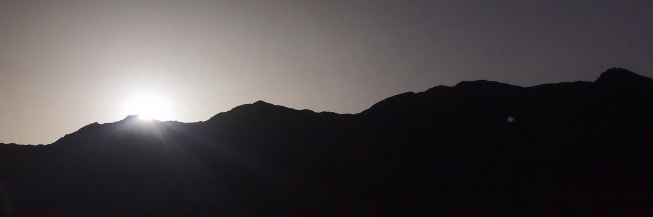 _mernaessam's profile banner image