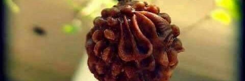 TheTrueHindu1's profile banner image