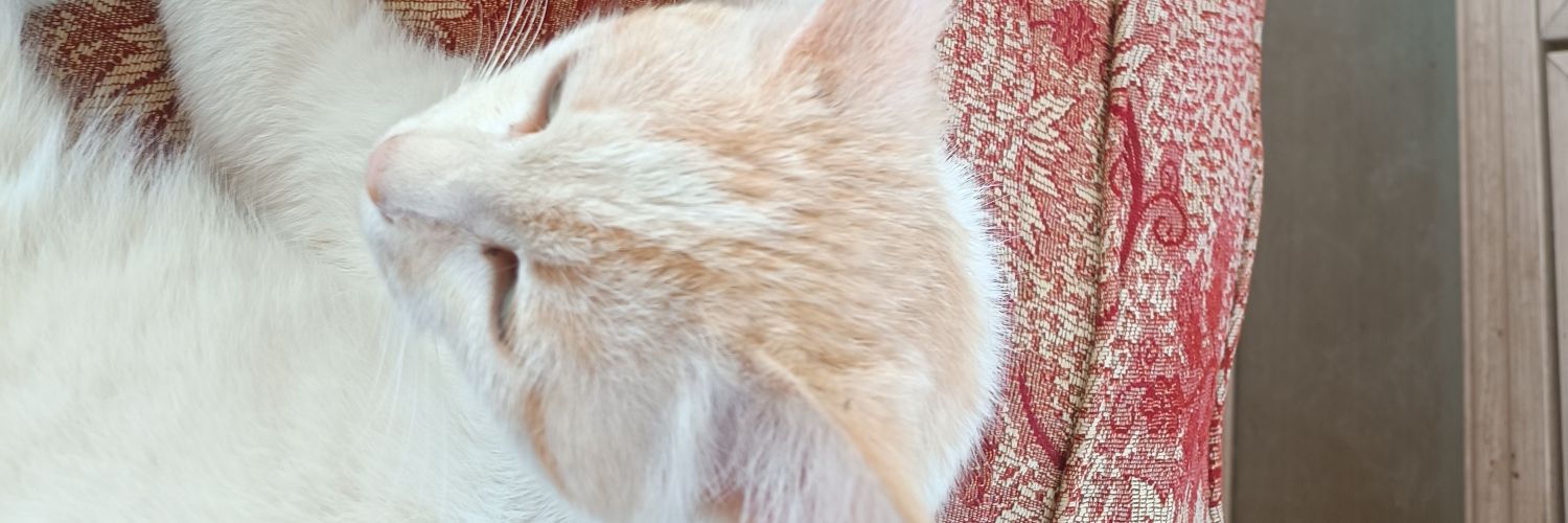 furkantnc's profile banner image