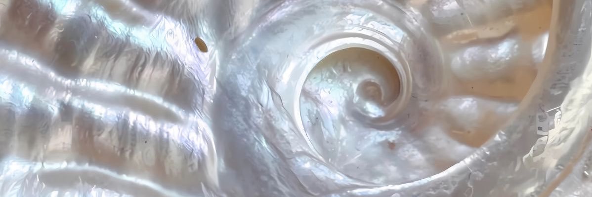 IM ACTUALLY KINDA FAMOUS banner