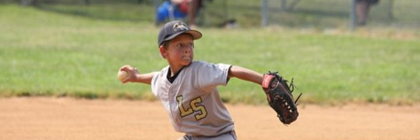 LSBaseballClub banner