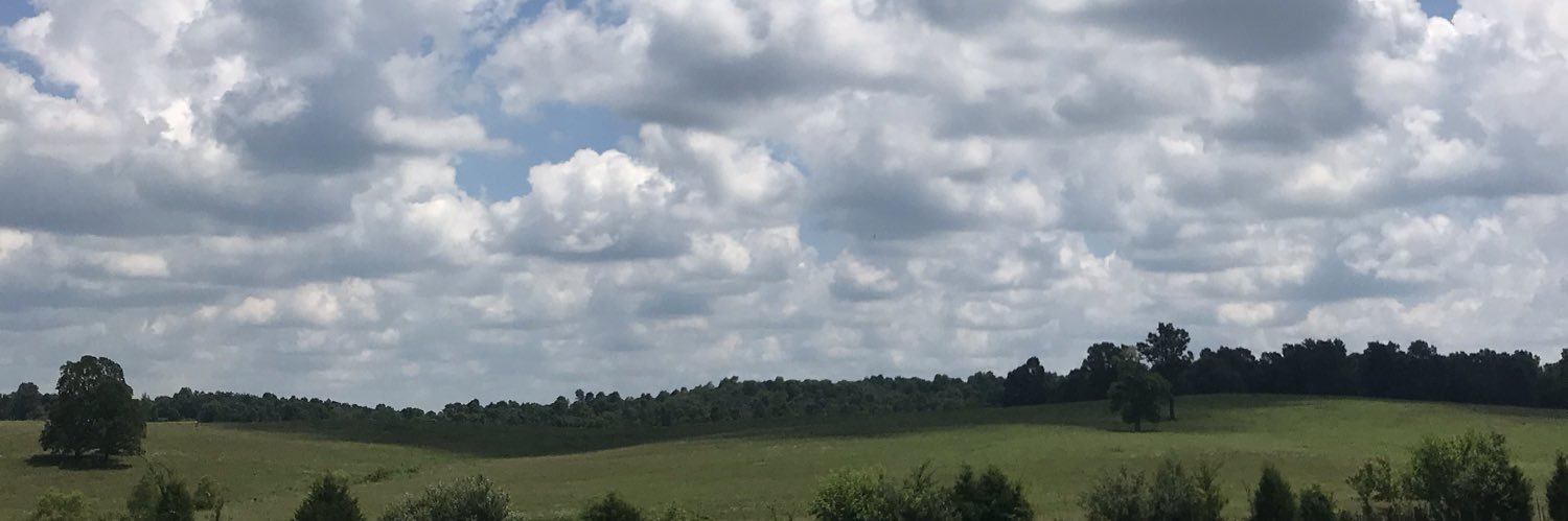 SydneyEllis6's profile banner image