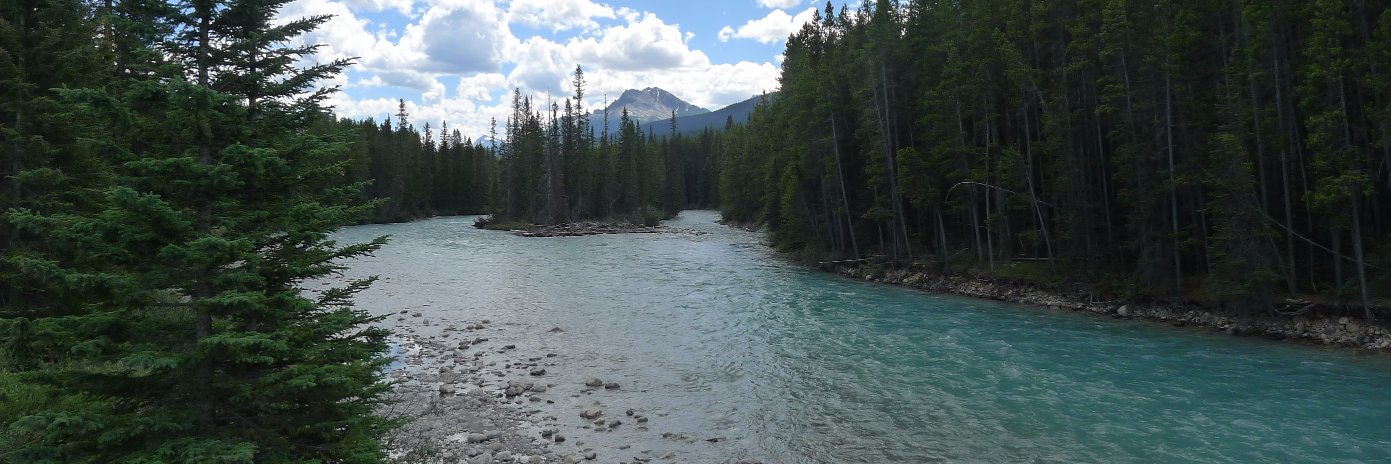 Kirstin A. Morgan banner