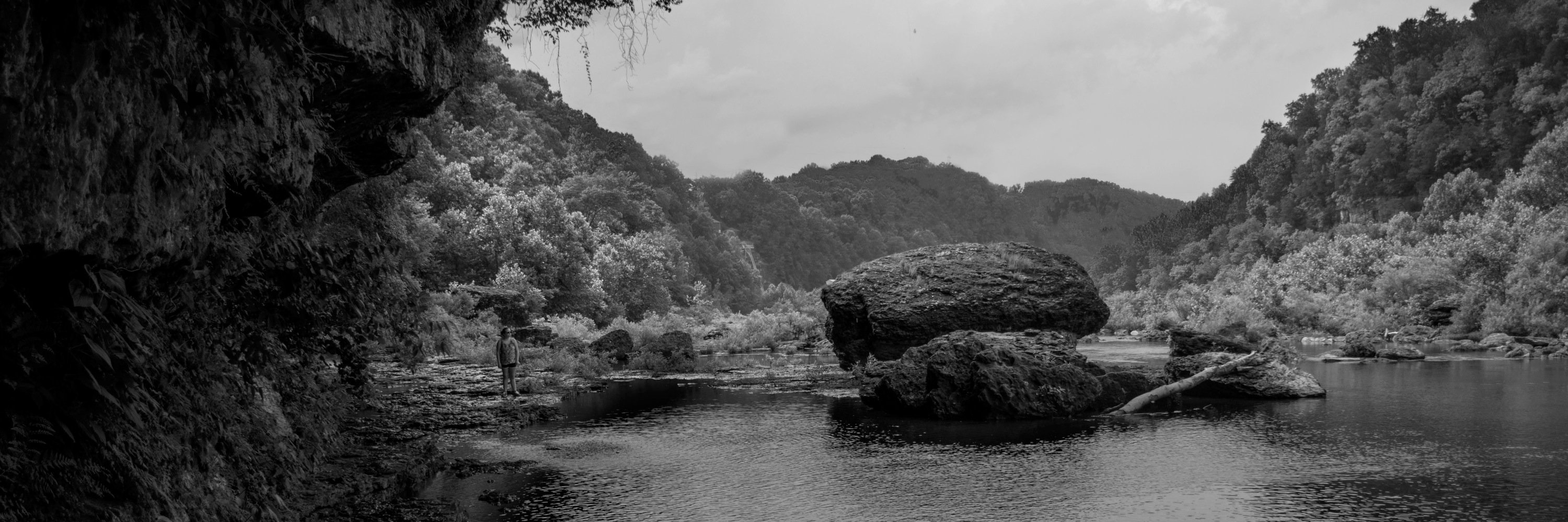 MilaLancePhoto's profile banner image