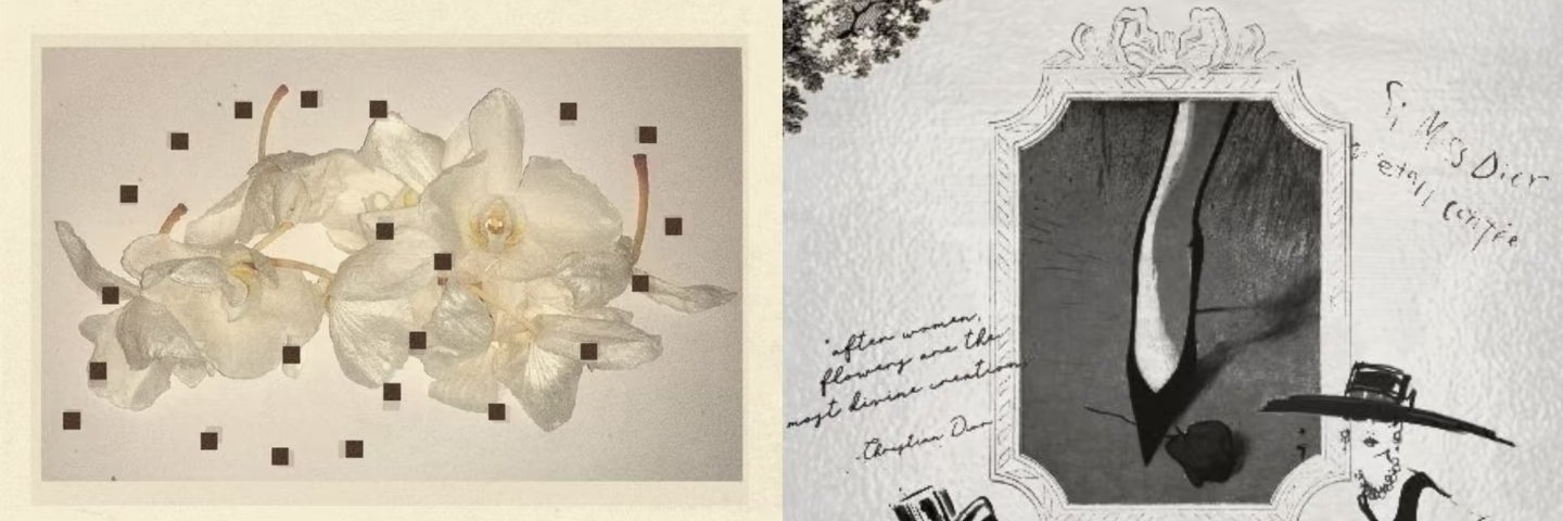 mwcvu's profile banner image