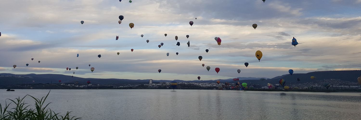 aidalealves's profile banner image