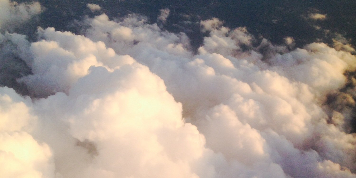 haleystumpf's profile banner image