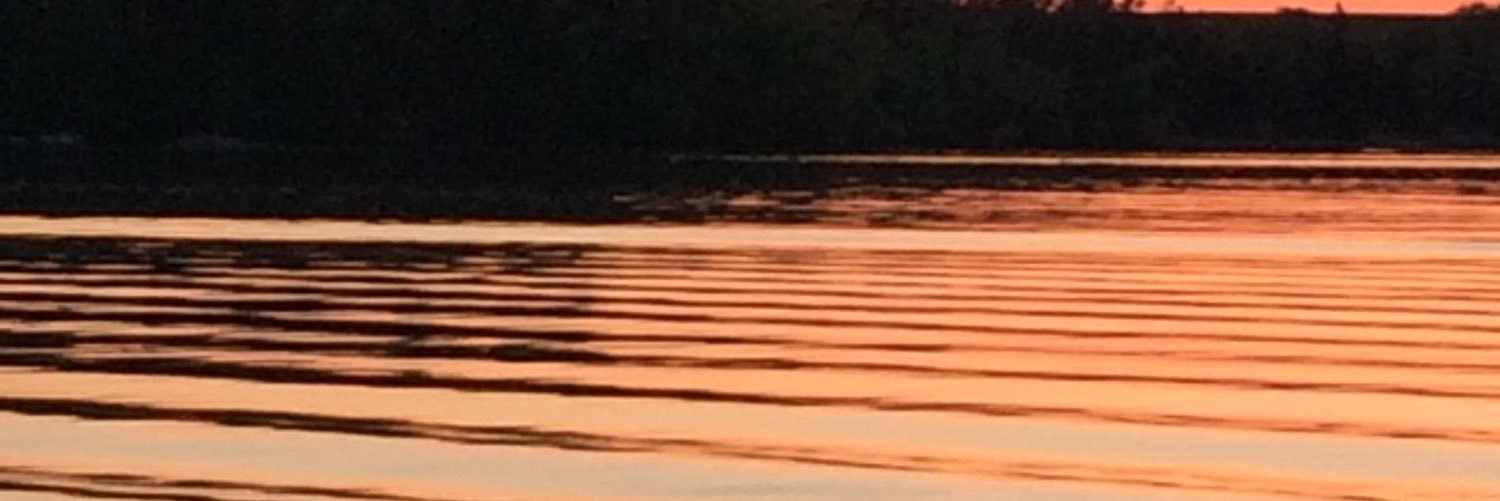 Cellobeast's profile banner image