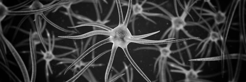 سلول‌خاکستری banner