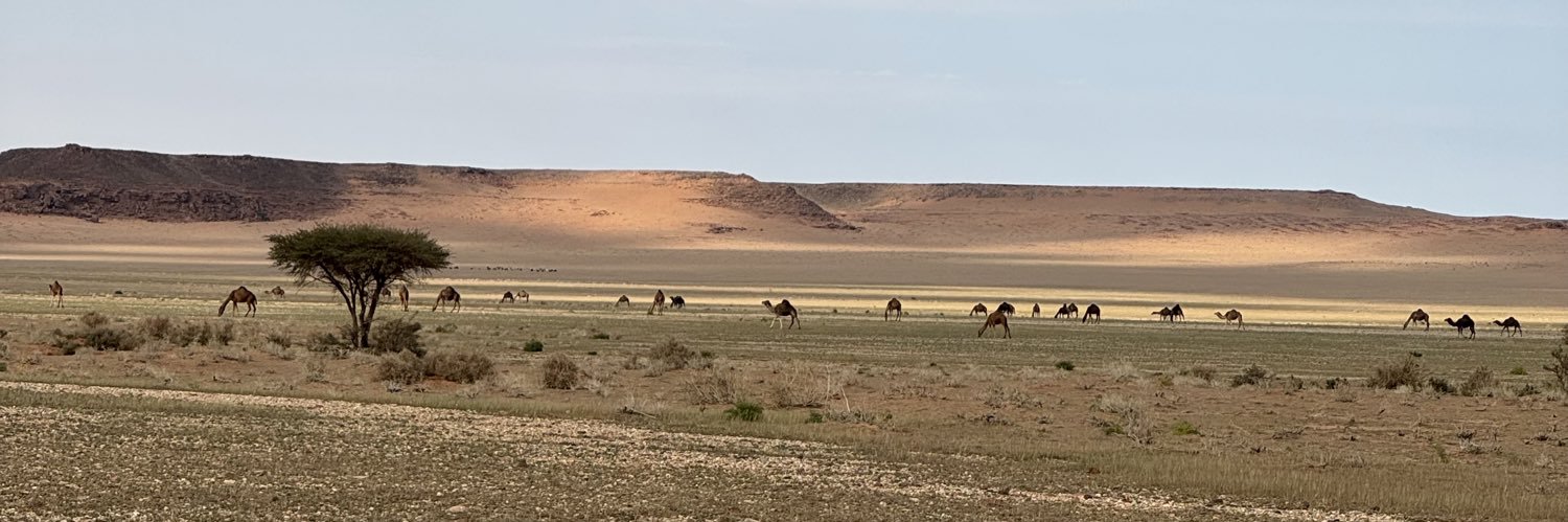 أ.د.منيف الرشيدي banner