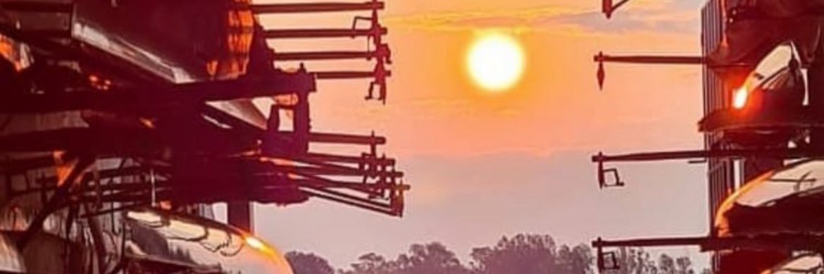 holgerinsfran's profile banner image
