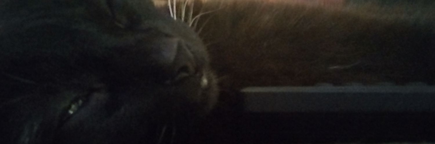 laurinhapc's profile banner image