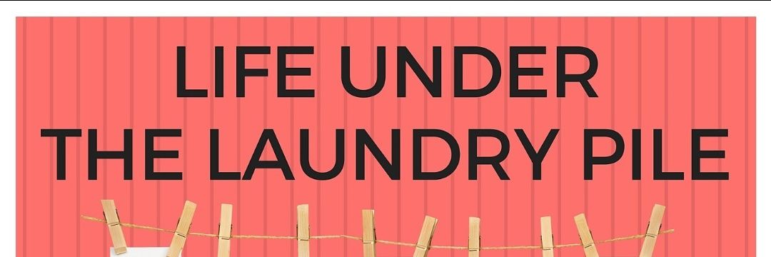 Life_TheLaundry's profile banner image